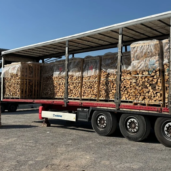 Completo Quercia-Camion 50 cm – 48 ms – Qualità premium H1 G1